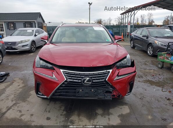 JTJDARDZ5M5028006 2021 LEXUS NX 300 Red Vista del cuadro de instrumentos