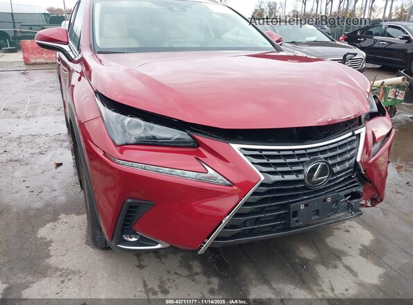 JTJDARDZ5M5028006 2021 LEXUS NX 300 Red 