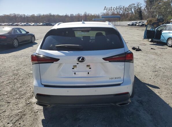 JTJDARDZ7M5026774 2021 LEXUS NX Белый Вид сзади