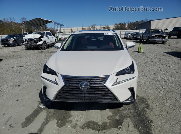 JTJDARDZ7M5026774 2021 LEXUS NX Белый Вид спереди