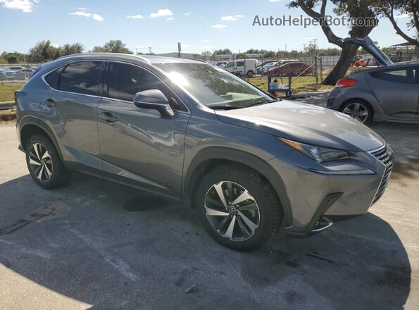 JTJGARBZ0M2194418 2021 LEXUS NX Silver Առջևի աջ