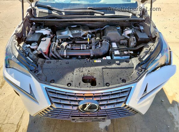 JTJGARBZ0M5025207 2021 LEXUS NX White Engine compartment view