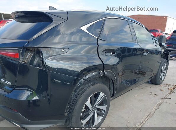 JTJGARBZ1L5010701 2020 LEXUS NX 300 Black Widok z przodu