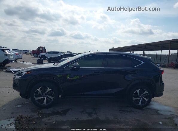 JTJGARBZ1L5010701 2020 LEXUS NX 300 Black 