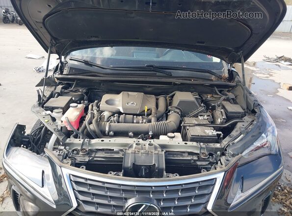 JTJGARBZ1L5010701 2020 LEXUS NX 300 Black Widok z tyłu