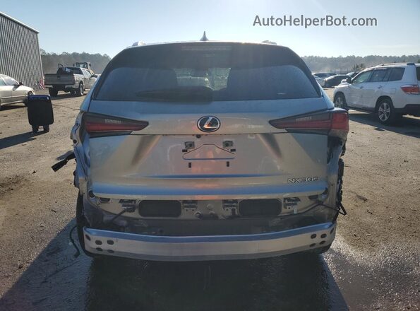 JTJGARBZ2M5032322 2021 LEXUS NX Gray უკანა ხედი