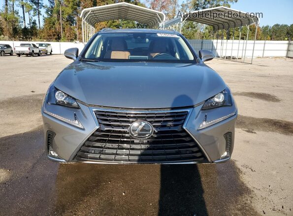 JTJGARBZ2M5032322 2021 LEXUS NX Gray წინა ხედი