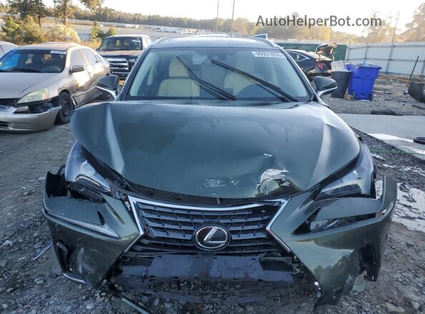 JTJGARBZ6M2199722 2021 LEXUS NX Зеленый 