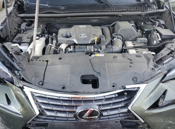 JTJGARBZ6M2199722 2021 LEXUS NX Зеленый 
