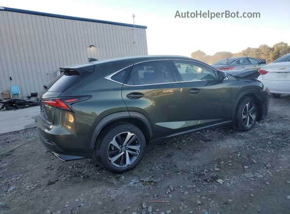 JTJGARBZ6M2199722 2021 LEXUS NX Зеленый 