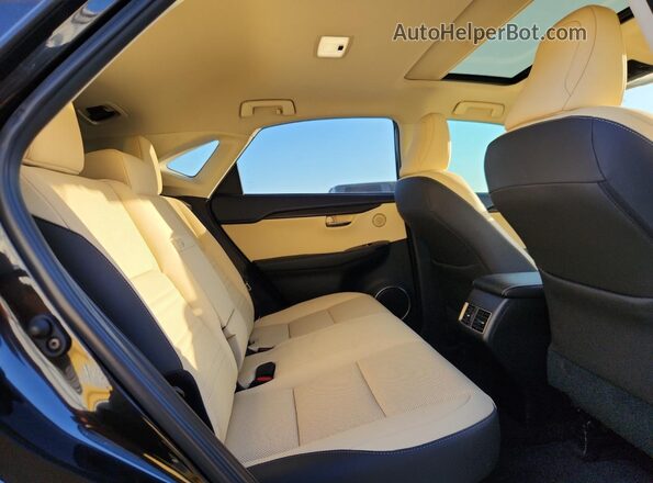 JTJGARBZ7L5009388 2020 LEXUS NX Черный Вид задней части салона