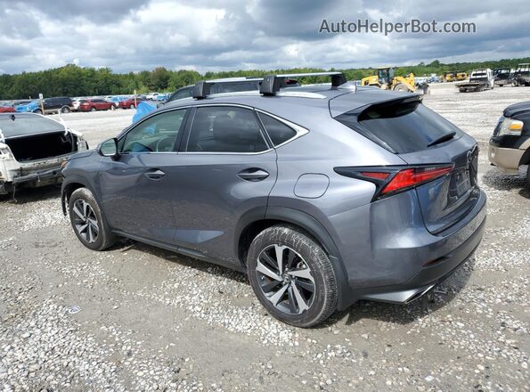 JTJGARBZ9L2178409 2020 LEXUS NX Gray Հետևի ձախ