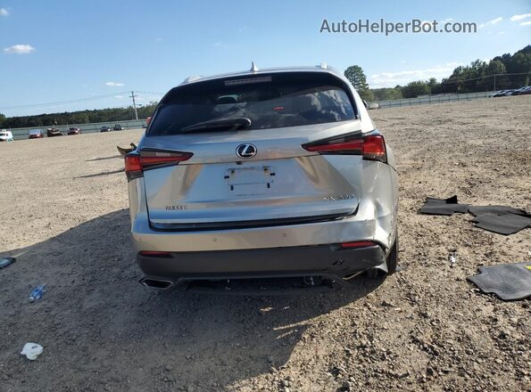 JTJGARBZXM2183443 2021 LEXUS NX Silver Rear view