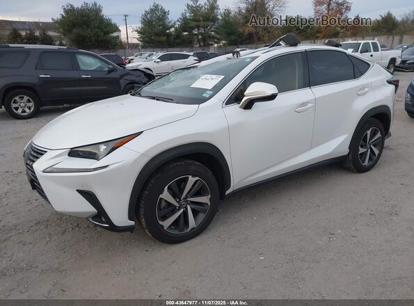 JTJGARDZ2M5019163 2021 LEXUS NX 300 White Передня ліва чверть