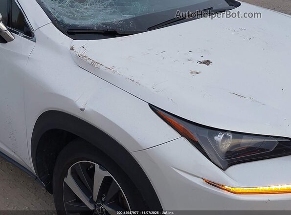 JTJGARDZ2M5019163 2021 LEXUS NX 300 White Вид спереду
