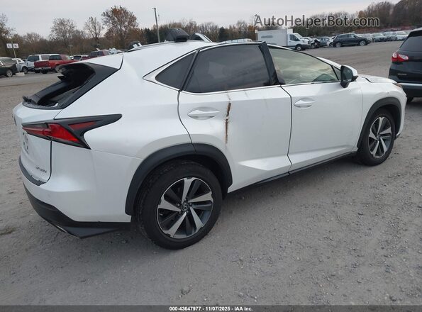 JTJGARDZ2M5019163 2021 LEXUS NX 300 White Задня права чверть