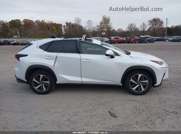 JTJGARDZ2M5019163 2021 LEXUS NX 300 White Вид задньої частини салону