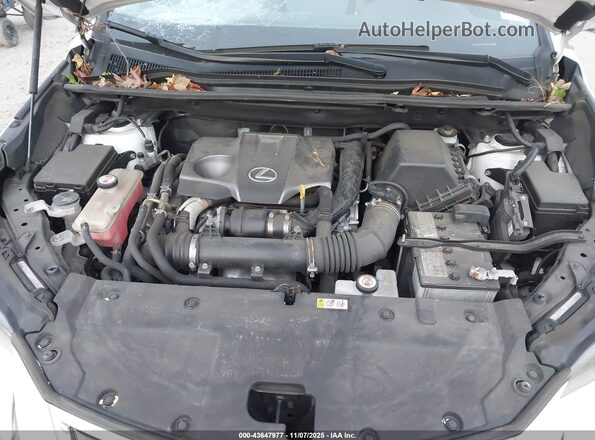 JTJGARDZ2M5019163 2021 LEXUS NX 300 White Вид ззаду