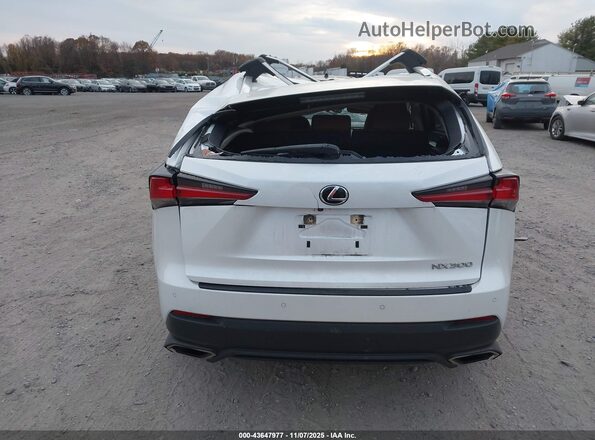 JTJGARDZ2M5019163 2021 LEXUS NX 300 White 