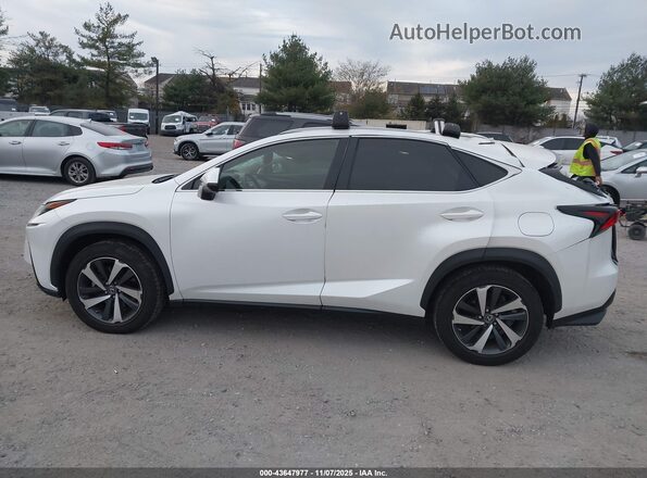 JTJGARDZ2M5019163 2021 LEXUS NX 300 White Панорамний вид салону 360°