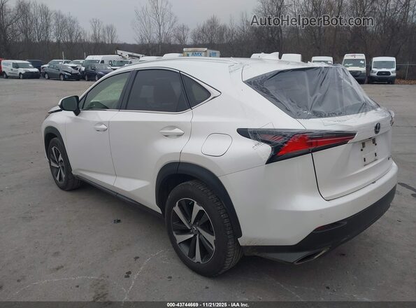 JTJGARDZ2M5019373 2021 LEXUS NX 300 White Հետևի ձախ