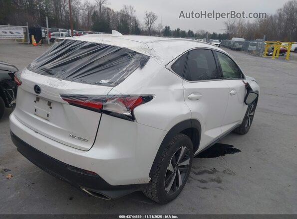 JTJGARDZ2M5019373 2021 LEXUS NX 300 White Հետևի աջ