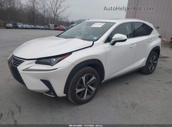 JTJGARDZ2M5019373 2021 LEXUS NX 300 White Առջևի ձախ երեք քառորդ տեսարան