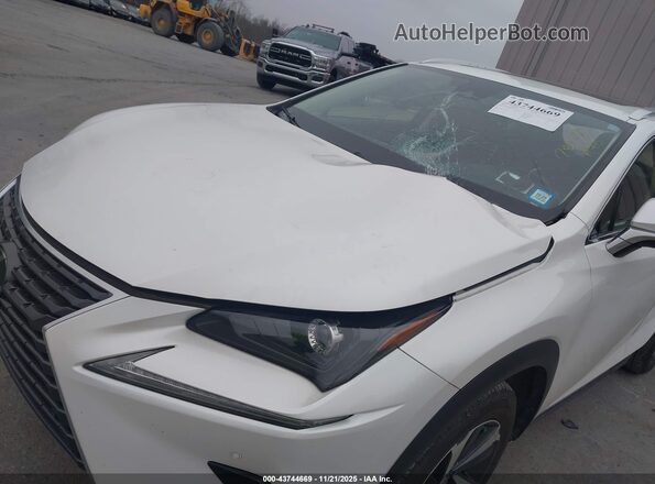 JTJGARDZ2M5019373 2021 LEXUS NX 300 White 