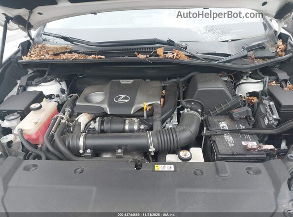 JTJGARDZ2M5019373 2021 LEXUS NX 300 White Հետևի տեսք