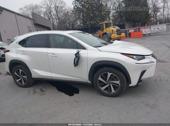 JTJGARDZ2M5019373 2021 LEXUS NX 300 White Սալոնի հետևի տեսք