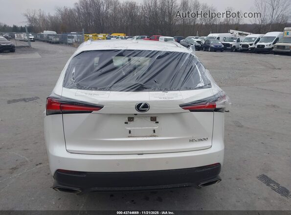 JTJGARDZ2M5019373 2021 LEXUS NX 300 White 