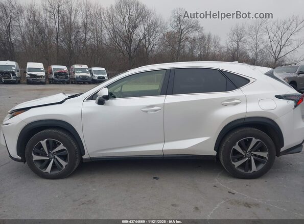JTJGARDZ2M5019373 2021 LEXUS NX 300 White Սալոնի 360 աստիճան տեսք