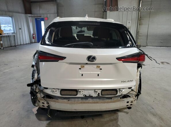 JTJGARDZ2M5028347 2021 LEXUS NX White Հետևի տեսք