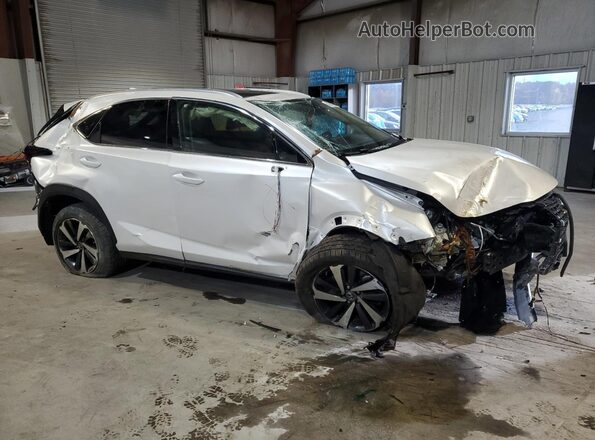JTJGARDZ2M5028347 2021 LEXUS NX White Առջևի աջ