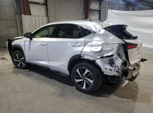 JTJGARDZ2M5028347 2021 LEXUS NX White Հետևի ձախ