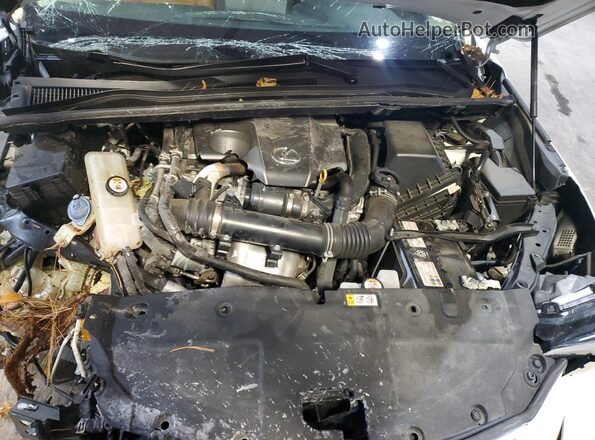 JTJGARDZ2M5028347 2021 LEXUS NX White Շարժիչի բաժամունքի տեսք