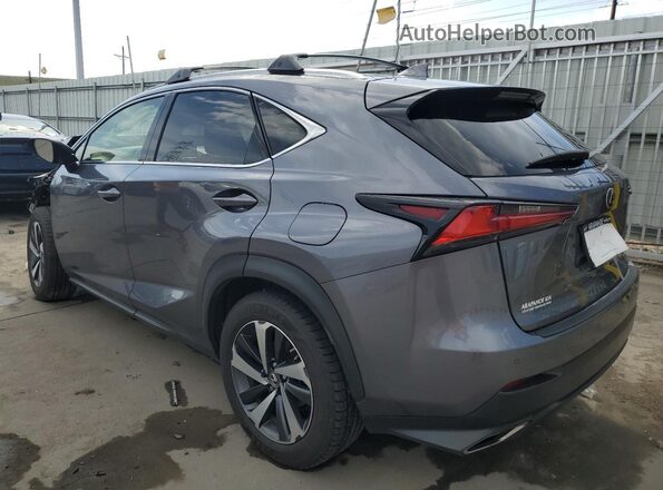 JTJGARDZ5L5001657 2020 LEXUS NX Charcoal Задня ліва чверть