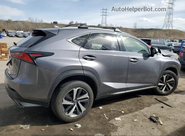 JTJGARDZ5L5001657 2020 LEXUS NX Charcoal Задня права чверть