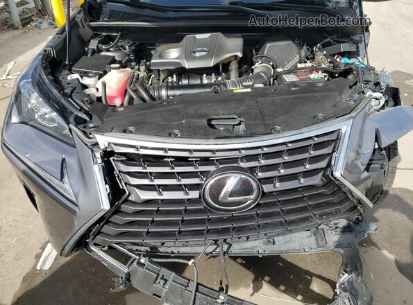 JTJGARDZ5L5001657 2020 LEXUS NX Charcoal Вид підкапотного простору