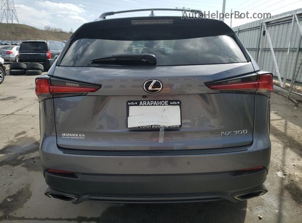 JTJGARDZ5L5001657 2020 LEXUS NX Charcoal Вид ззаду
