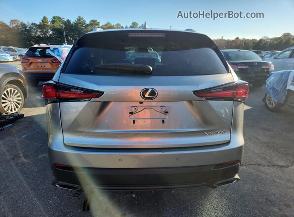 JTJGARDZ9M2249882 2021 LEXUS NX Silver Հետևի տեսք