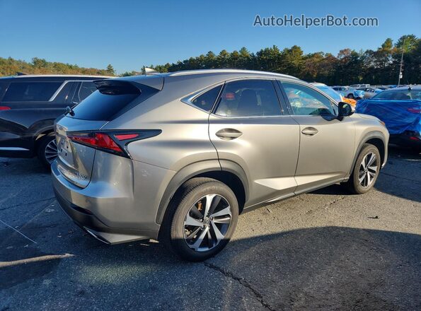 JTJGARDZ9M2249882 2021 LEXUS NX Silver Հետևի աջ