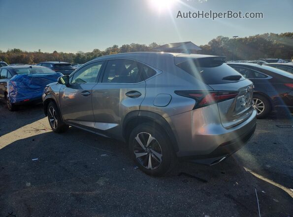 JTJGARDZ9M2249882 2021 LEXUS NX Silver Հետևի ձախ