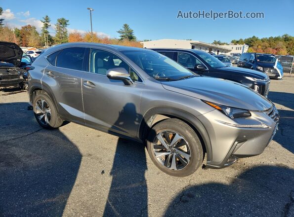 JTJGARDZ9M2249882 2021 LEXUS NX Silver Առջևի աջ