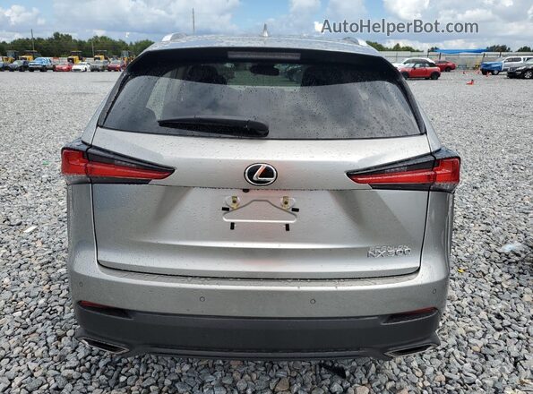 JTJGARDZXM2254699 2021 LEXUS NX Silver Rear view