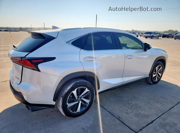 JTJGARDZXM5025454 2021 LEXUS NX White Հետևի աջ