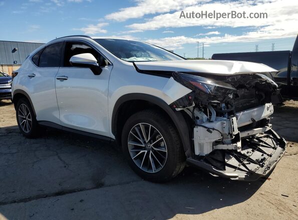 JTJGKCEZ5R2023824 2024 LEXUS NX White Delantero derecho