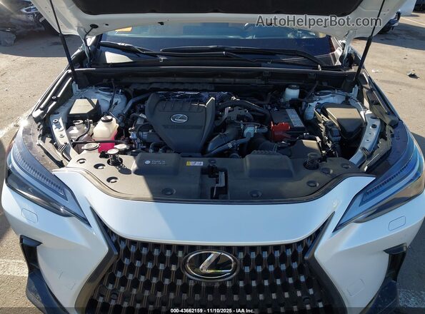 JTJHGCEZ0R2012039 2024 LEXUS NX 350 White 
