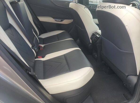 JTJHKCEZXN2004183 2022 LEXUS NX Silver Սալոնի հետևի տեսք
