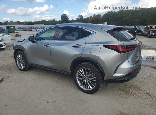 JTJHKCEZXN2004183 2022 LEXUS NX Silver Հետևի ձախ